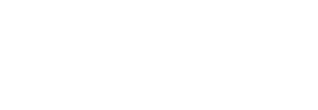 Logo_Businessvordingborg_hvid