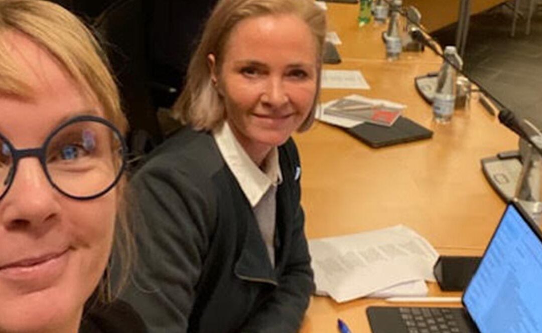 Nye medlemmer af bestyrelsen