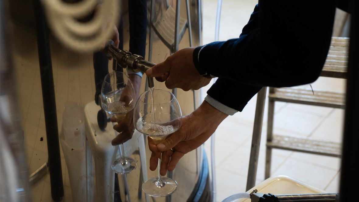 Vinproducent laver mousserende vin på Møn