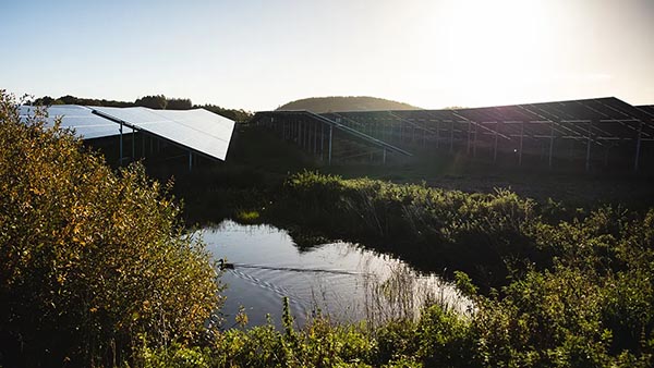 Andel overtager solcellepark i Køng Mose