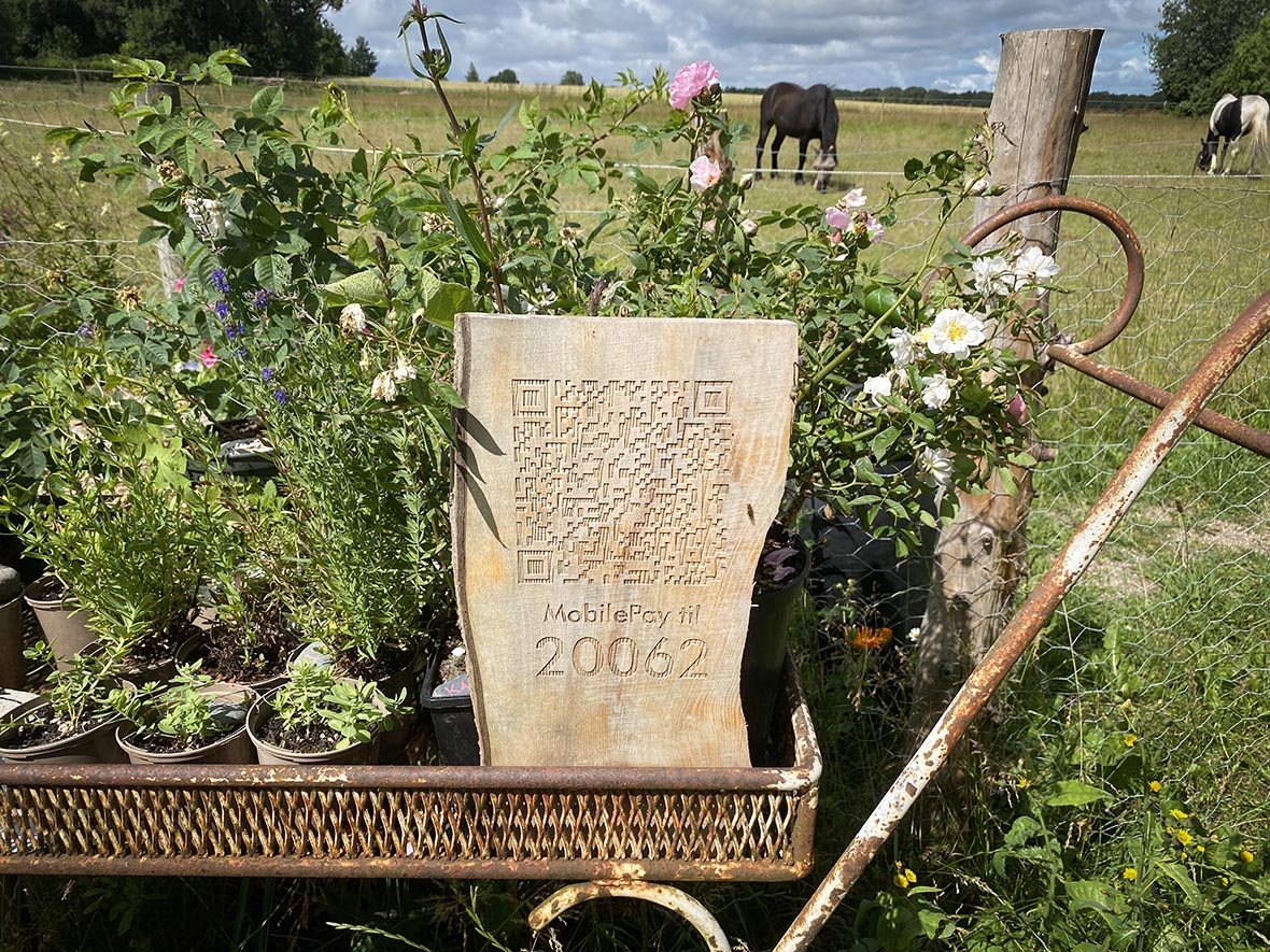 Direktør og ejer hos Knudsen Extrusion Peter Rosenkrands 