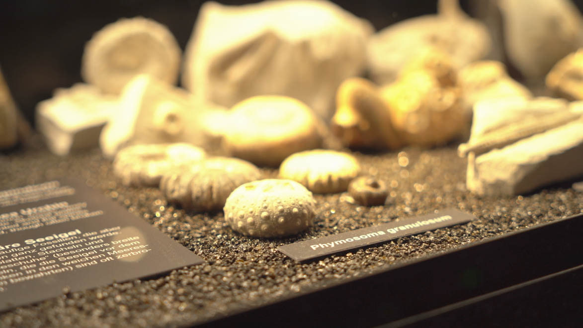 Direktør og ejer hos Knudsen Extrusion Peter Rosenkrands 