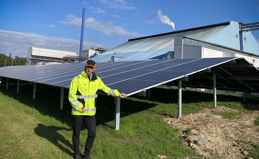 Med byg i baghaven surfer Viking Malt på ESG-bølgen